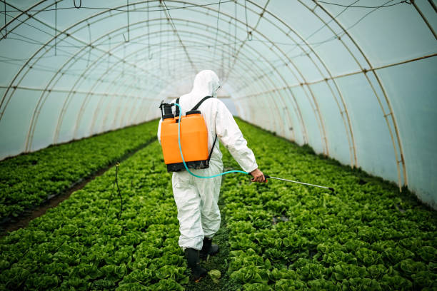 Best Emergency Pest Control  in Sidney, IL