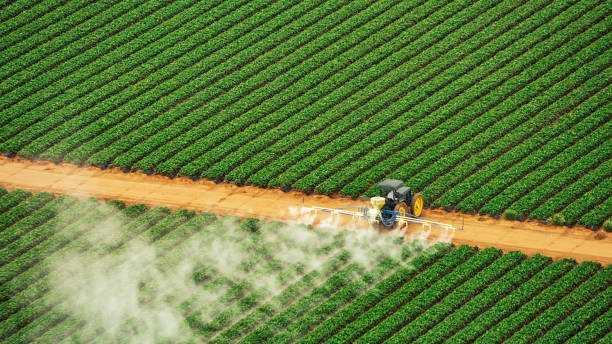 Best Local Pest Control Services  in Sidney, IL